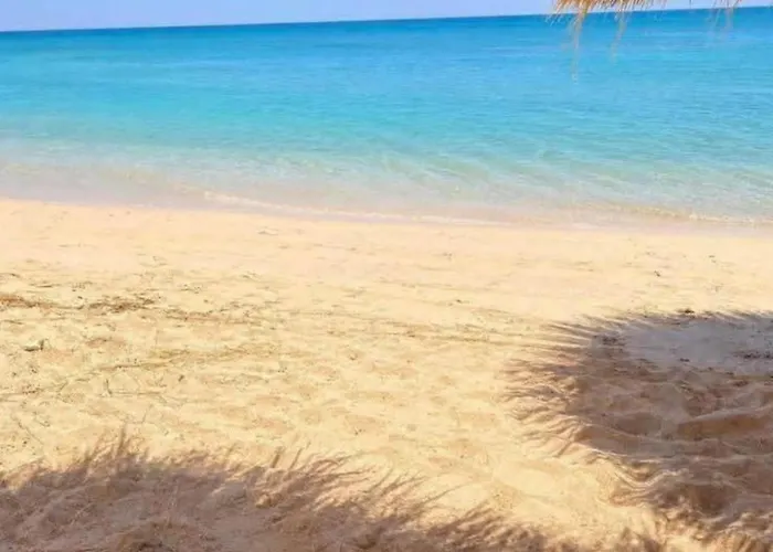 Tavira Rasz Szedr